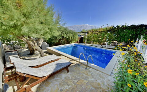 Sofija: Propriété, Piscine, Immobilier, Arrière-Cour, Maison, Herbe, Arbre, Bâtiment, Paysage, Cour
