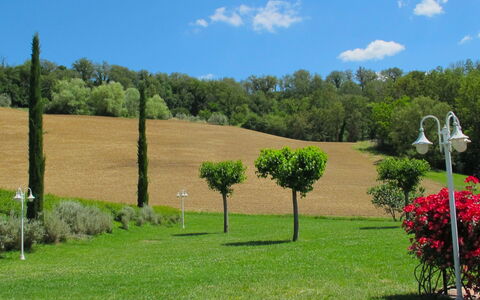 Podere: Propriété, Herbe, Lot Terre, Jardin, Arbre, Pelouse, Immobilier, Famille Grass, Cour, Plante