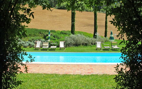 San Giovanni 801: Propriété, Piscine, Herbe, Arbre, Loisir, Maison, Immobilier, Pelouse, Lot Terre, Biens