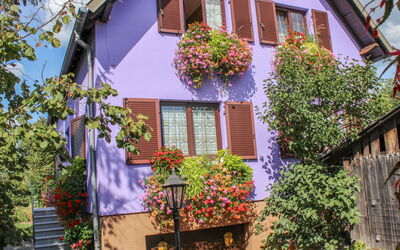 Marckolsheim 100: Fleur, Plante, Bâtiment, Jour, Propriété, Fenêtre, Feuille, Violet, Maison