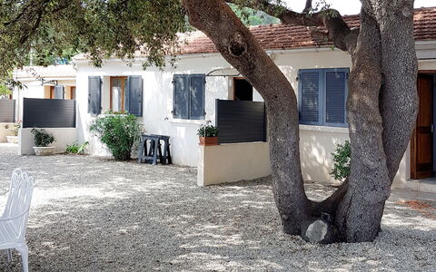 Solenzara 650: Propriété, Arbre, Maison, Architecture, Immobilier, Domicile, Suppression Des Plantes Ligneuses, Bâtiment, Plante, Conception