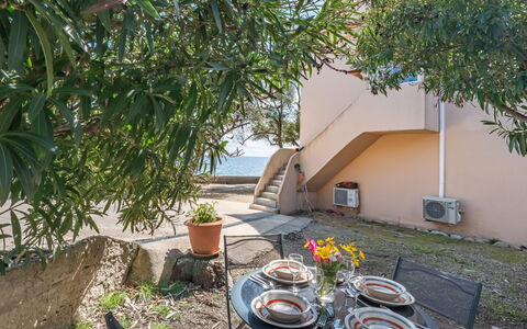Logement:&nbsp;Sepia 650.6