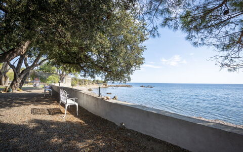 Solenzara 650: Bâtiment, Plante, Propriété, Fenêtre, Lot Terre, Design Urbain, Paysage, Quartier, Herbe, Loisir