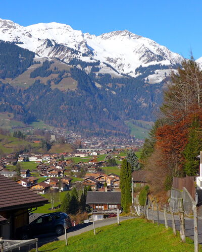 Chalet Guldeli