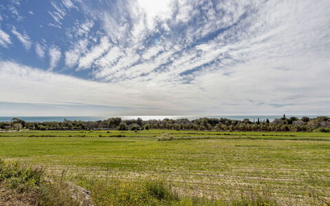 Gavina: Nuage, Ciel, Plante, Paysage Naturel, Arbre, Cumulus, Herbe, Horizon, Paysage, Agriculture
