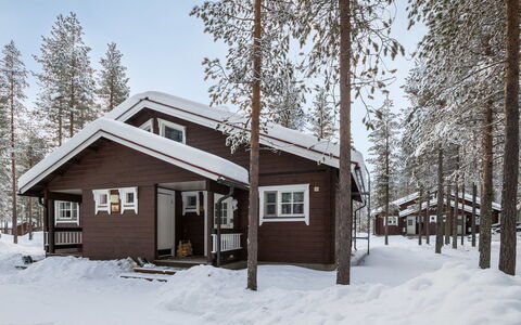 Albatrossi: Bois, Siding, Chalet, Maison, Domicile, Planche, Batiments Jardin, Cabane En Rondins, Dur, Porche