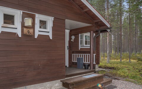 Albatrossi: Bois, Siding, Chalet, Maison, Domicile, Planche, Batiments Jardin, Cabane En Rondins, Dur, Porche
