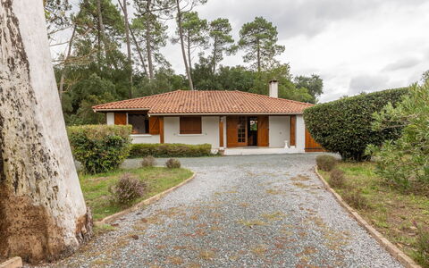 Marguerite: Plante, Ciel, Bâtiment, Propriété, Nuage, Fenêtre, Arbre, Maison, Lot Terre, Chalet