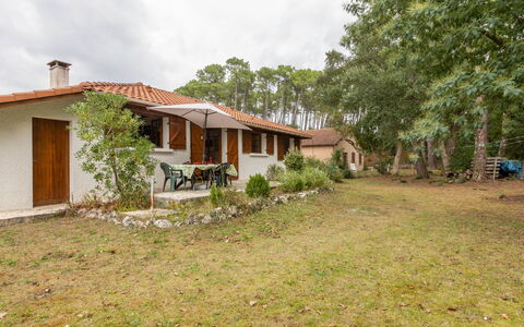 Marguerite: Plante, Ciel, Propriété, Bâtiment, Nuage, Arbre, Fenêtre, Maison, Paysage Naturel, Lot Terre