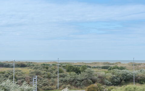 De Haan 930: Ciel, Végétation, Formations Arbustives, Paysage Naturel, Environnement Naturel, Lot Terre, Communauté Des Plantes, Plaine, Écorégion, Steppe