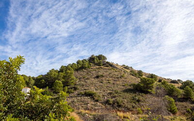 Villa Preciosa