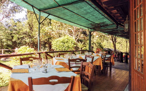 Albenga 605: Table, Meubles, Propriété, Chaise, Ombre, Arbre, Vaisselle, Plante, Mobilier De Jardin, Tableau De Plein Air
