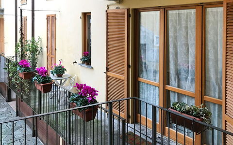 Sabina: Fleur, Plante, Bâtiment, Propriété, Pot De Fleur, Fenêtre, Plante D'Appartement, Porte, Bois