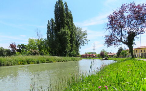 Cà Riviera Bosco Piccolo: Paysage Naturel, Environnement Naturel, Arbre, Banque, Végétation, Rivière, Voie Navigable, Réserve Naturelle, Herbe, Canal