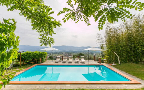 Reggello 867: L'Eau, Plante, Jour, Propriété, Piscine, Ciel, Vert, La Nature, Bleu Azur, Ombre