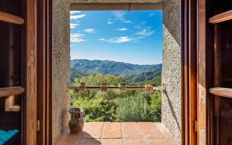 Kiwii: Fenêtre, Pièce, Ciel, Montagne, Maison, Design Intérieur, Arbre, Domicile, Bâtiment, Daylighting