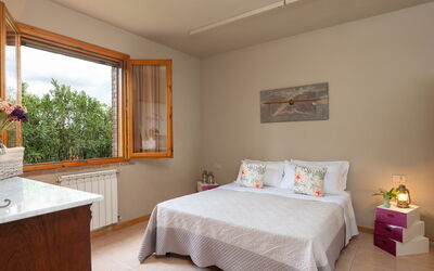 Logement:&nbsp;Tulipano