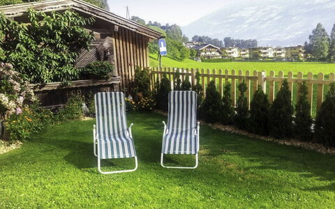 Widner: Vert, Pelouse, Herbe, Chaise, Arbre, Arbuste, Lot Terre, Jardin, Famille Grass, Paysage