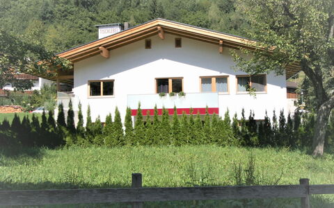Michi: Plante, Bâtiment, Fenêtre, Arbre, Maison, Lot Terre, Herbe, Chalet, Zone Résidentielle, Clôture