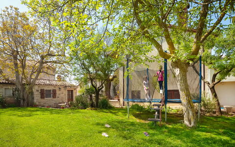 Stari Brist: Arbre, Propriété, Maison, Domicile, Herbe, Cour, Printemps, Immobilier, Pelouse, Suppression Des Plantes Ligneuses