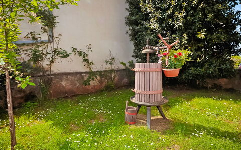 Stari Brist: Cour, Jardin, Arbre, Herbe, Arrière-Cour, Plante, Printemps, Pelouse, Arbuste, Fleur