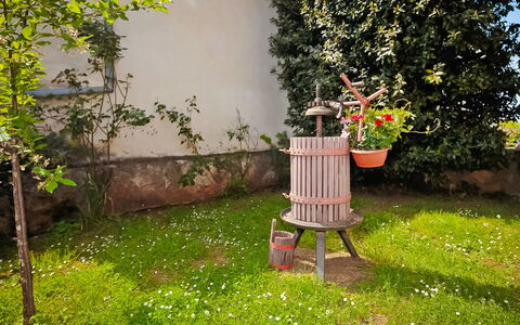 Lišera: Jardin, Cour, Arbre, Herbe, Printemps, Plante, Pelouse, Arrière-Cour, Arbuste, Fleur