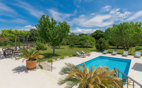 Villa Bernard: Nuage, Ciel, L'Eau, Plante, Botanique, Arbre, Piscine, Végétation, Arecales, Ombre
