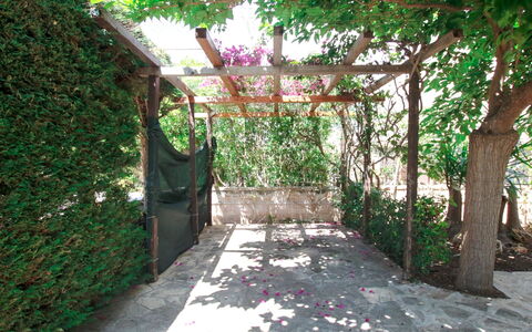 Villa Irene: Propriété, Botanique, Arbre, Bâtiment, Passerelle, Jardin, Cour, Architecture, Plante, Arrière-Cour