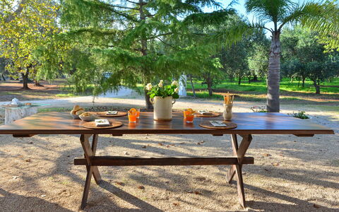 L'alcova: Meubles, Table, Table De Pique-Nique, Tableau De Plein Air, Table Basse, Mobilier De Jardin, Arbre, Herbe, Loisir, Pièce