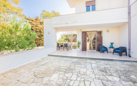 Villa Salento: Plante, Propriété, Bâtiment, Ciel, Design Intérieur, Fenêtre, Arbre, Jaune, Porte, Sol