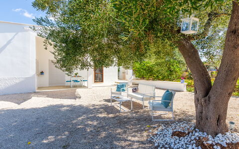 Lamia Di Nonna Mena: Propriété, Arbre, Immobilier, Architecture, Maison, Pièce, Bâtiment, Meubles, Cour, Arrière-Cour