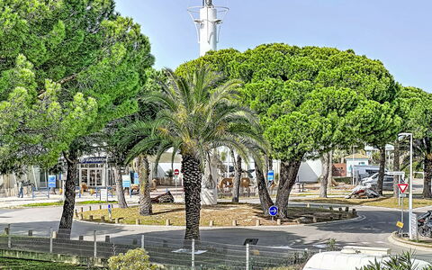 Le Grau du Roi 130: Arbre, Espace Public, Rue, Design Urbain, Suppression Des Plantes Ligneuses, Trottoir, Ombre, Éclairage Public