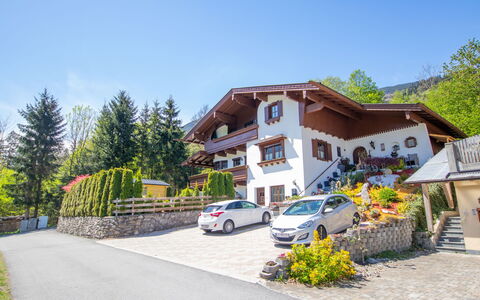 Viktoria: Plante, Ciel, Voiture, Roue, Véhicule, Bâtiment, Arbre, Asphalte, Maison