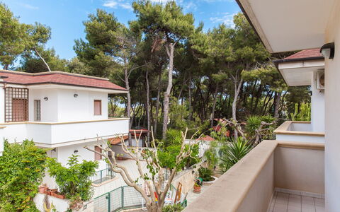 Villa Victory: Propriété, Immobilier, Maison, Bâtiment, Domicile, Zone Résidentielle, Architecture, Appartement, Arbre, Pièce