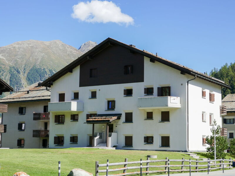 Celerina 11