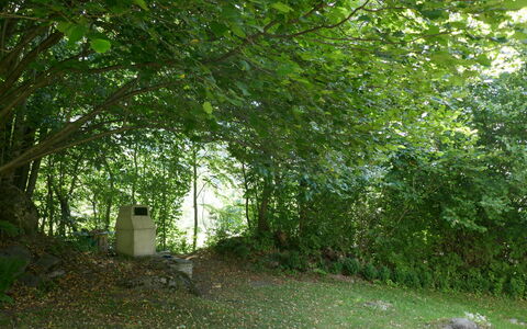 Rustico al Campett: Plante, Feuille, Paysage Naturel, Ombre, Arbre, Tronc, Lot Terre, Herbe, À Feuilles Caduques