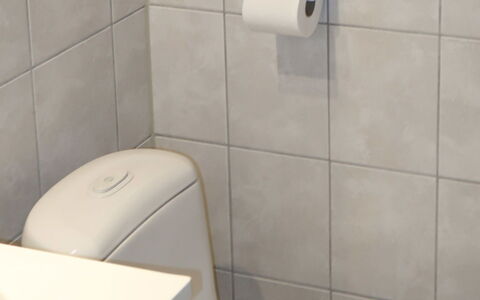Skeisvegen: Luminaire Plomberie, Siège De Toilette, Propriété, Toilette, Salle De Bains, Lavabo, Cabinetry, Violet, Design Intérieur