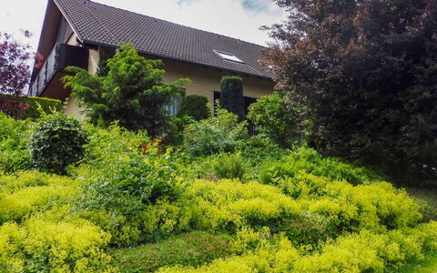 Waldvogt: Végétation, Paysage Naturel, Jardin, Propriété, Arbre, Maison, Arbuste, Jardin Botanique, Botanique, Plante