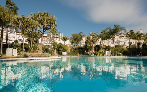 Perla Blanca: L'Eau, Ciel, Plante, Nuage, Propriété, Bâtiment, Piscine, Arbre, Paysage Naturel, Maison