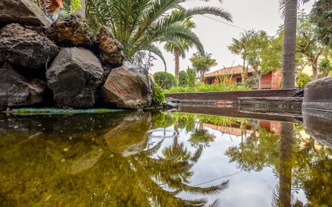 Villa Torrita: L'Eau, Ressources En Eau, Plante, Ciel, La Nature, Botanique, Paysage Naturel, Arbre, Végétation, Cours D'Eau