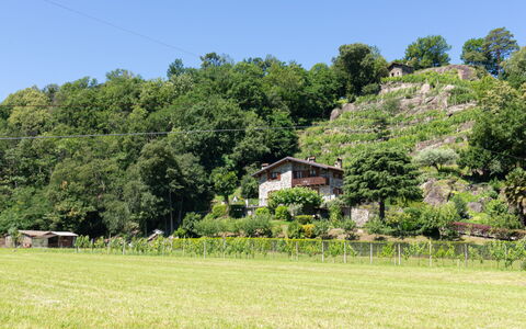 Fuentes: Paysage Naturel, Végétation, Prairie, Pâturage, Propriété, Herbe, Environnement Naturel, Lot Terre, Ferme, Prairie