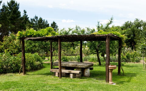 Casale Vacanze Il Granaio: Vert, Réserve Naturelle, Arbre, Botanique, Herbe, Jardin, Pavillon, Table, Famille Grass, Printemps