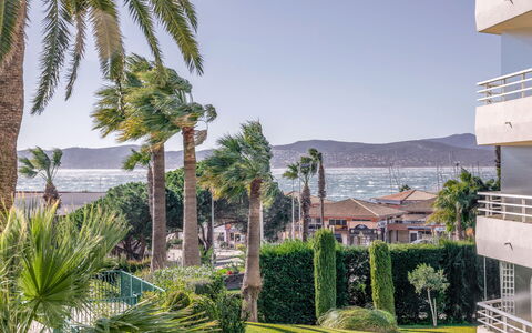 Le Mexico: Ciel, Plante, Propriété, L'Eau, Bleu Azur, Arbre, Arecales, Végétation, Biome, Loisir