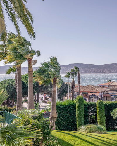 Le Mexico: Ciel, Plante, Propriété, L'Eau, Bleu Azur, Arbre, Arecales, Végétation, Biome, Loisir