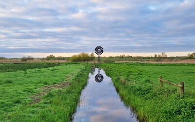 Natuurlijk de Veenhoop