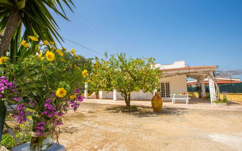 Villa Mediterranea: Propriété, Fleur, Jaune, Plante, Immobilier, Arbre, Maison, Vacances, Bâtiment, Zone Rurale