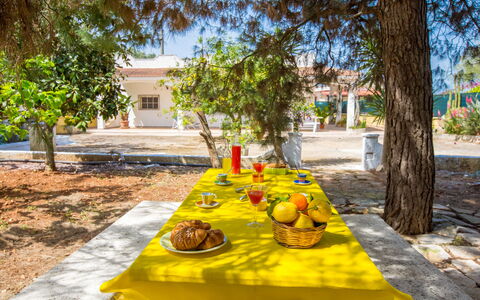 Villa Mediterranea: Propriété, Jaune, Arbre, Table, Repas, Vacances, Loisir, Des Loisirs, Paysage, Plante