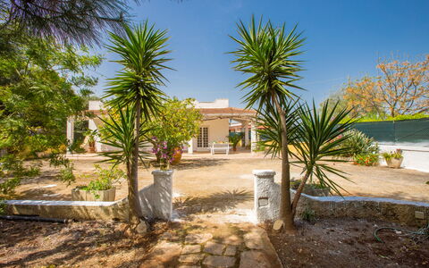 Villa Mediterranea: Propriété, Maison, Domicile, Immobilier, Arbre, Biens, Bâtiment, Zone Résidentielle, Palmier, Arecales