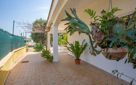 Villa Mediterranea: Ciel, Plante, Bâtiment, Feuille, Surface De La Route, Bois, Arecales, Ombre, Terrestre Des Plantes, Immobilier
