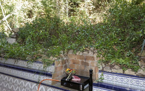 Punta Aromir: Plante, Herbe, Bois, Couverture De Sol, Gaz, Arbuste, Design Urbain, Paysage, Jardin